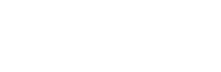 Logo Item